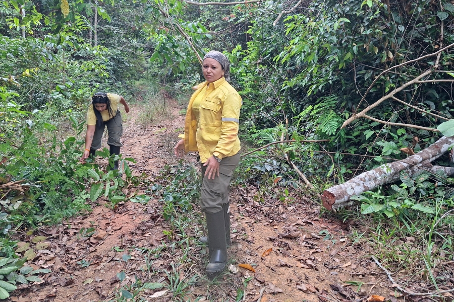 Esta foto em plano médio, com uma profundidade de campo rasa, capta duas mulheres em uma trilha de terra em uma floresta tropical, olhando para a câmera com uma expressão séria. A mulher à direita está em primeiro plano, usando uma jaqueta amarela brilhante de manga comprida aberta sobre uma camiseta da mesma cor, calças cargo verde-oliva com vários bolsos, botas de borracha pretas que cobrem até os joelhos e uma bandana cinza e branca na cabeça. Ela tem cabelos castanhos longos e cacheados que caem sobre seus ombros. A mulher à esquerda está mais atrás, usando uma camiseta amarela, calças cargo verde-oliva e botas de borracha pretas, além de óculos de sol na cabeça. Elas estão rodeadas por uma vegetação densa e exuberante que preenche a maior parte do fundo. A trilha de terra em que estão está coberta por folhas e galhos caídos