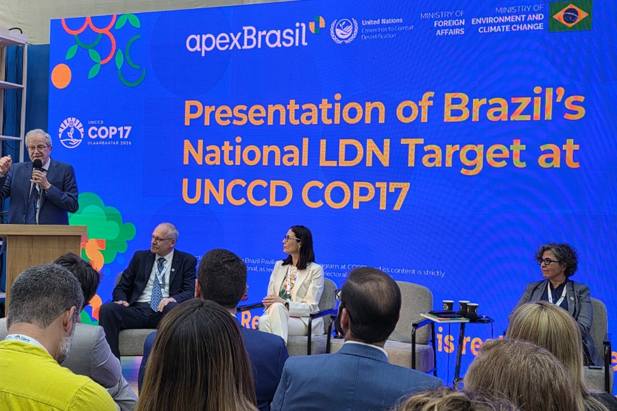 Homem discursa ao púlpito enquanto outros três participantes estão sentados no palco. Ao fundo, um telão azul exibe o texto "Presentation of Brazil's National LDN Target at UNCCD COP17".
