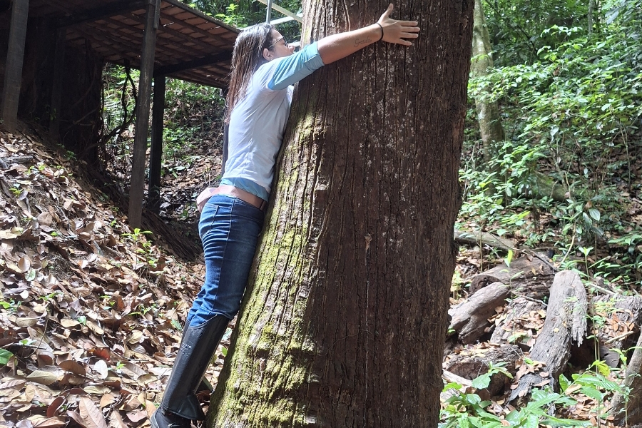 Uma mulher de perfil, vestindo camiseta azul-clara de mangas compridas dobradas até o cotovelo, calça jeans azul e botas pretas de cano alto, abraça afetuosamente o tronco robusto de uma grande árvore no meio de uma floresta. Ela está levemente inclinada para a frente, com o rosto e as mãos apoiados na casca áspera e marrom da árvore, enquanto exibe no antebraço direito uma tatuagem com a palavra "Gratidão". Ao fundo, a vegetação densa é composta por folhagens verdes e um chão coberto por folhas secas e pedaços de madeira, destacando-se à esquerda uma estrutura elevada de madeira, semelhante a uma passarela ou plataforma em meio à natureza