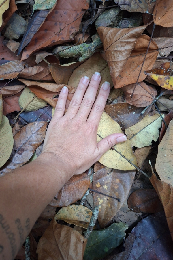 Uma mão aberta com a palma voltada para baixo repousa sobre uma camada densa de folhas secas no chão da floresta. A mão, de pele clara e unhas bem cuidadas, estende-se do canto inferior esquerdo em direção ao centro da imagem, deixando ver parte do antebraço com o final de uma tatuagem. Abaixo da mão e por todo o fundo, sobressaem-se folhas caídas em vários tons de marrom, bege e amarelado, com nervuras bem visíveis, intercaladas por pequenos galhos e pedaços de terra