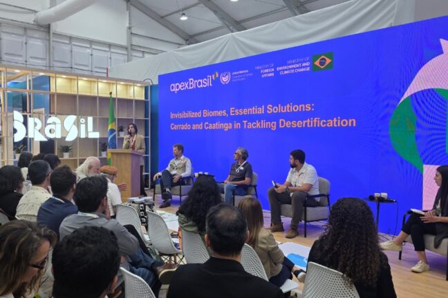 A fotografia registra um painel em um evento no estande do Brasil, realizado em um amplo espaço interno iluminado. Em segundo plano, destaca-se uma grande tela azul brilhante com logotipos governamentais e o título em inglês "Invisibilized Biomes, Essential Solutions: Cerrado and Caatinga in Tackling Desertification". À esquerda da tela, uma mulher em pé atrás de um púlpito de madeira fala ao microfone ao lado da bandeira do Brasil e da palavra "BRASIL" escrita em grandes letras brancas estilizadas. À frente do painel principal, quatro palestrantes estão sentados em poltronas dispostas em semicírculo: três homens ao centro e uma mulher à direita. Em primeiro plano, uma plateia atenta é vista de costas e de perfil, preenchendo o espaço em cadeiras brancas voltadas para o palco