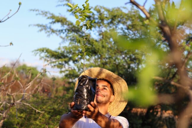 Jovem com chapéu de palha sorri enquanto segura uma muda de planta em saco plástico preto voltada para o alto, em meio à vegetação.