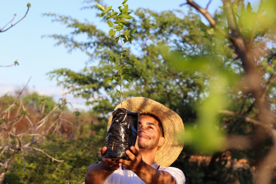 Jovem com chapéu de palha sorri enquanto segura uma muda de planta em saco plástico preto voltada para o alto, em meio à vegetação.