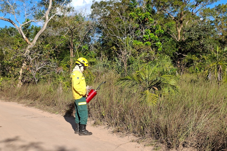 Fotografia horizontal em ambiente ao ar livre mostra um brigadista em pé, de perfil para a direita, à beira de uma estrada de terra clara. Ele veste uniforme de proteção composto por uma jaqueta amarela de mangas compridas, calça verde-escura com faixa reflexiva amarela nas canelas, botas pretas de cano alto e capacete de proteção amarelo com balaclava clara cobrindo o pescoço e a cabeça. Com as duas mãos, ele segura um equipamento cilíndrico de metal inclinando o bico direcionado para a vegetação rasteira de capim seco que margeia o caminho. Ao fundo, ergue-se uma vegetação densa de Cerrado com árvores de médio porte, palmeiras baixas e folhagens verdes sob a luz do sol, com trechos de céu azul visíveis ao topo