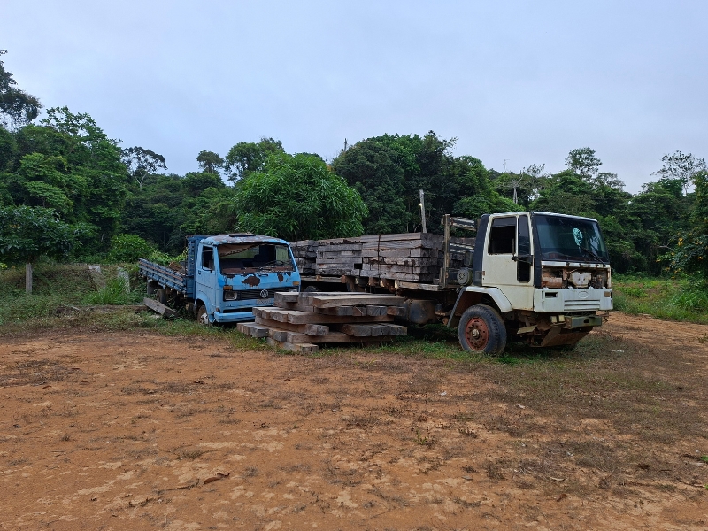 Em um Pátio de terra batida avermelhada e cercado por uma densa mata verde ao fundo, estão estacionados dois caminhões antigos e em mau estado de conservação, sob um céu claro e nublado. À direita, um caminhão grande e branco carrega na sua carroceria de madeira uma pilha organizada de pranchas e vigas grossas de madeira serrada, enquanto um monte idêntico de blocos de madeira está empilhado no chão, logo ao lado de sua lateral. À esquerda e ligeiramente atrás, há um caminhão azul menor, com marcas visíveis de ferrugem no teto e na cabine, também estacionado na área descampada