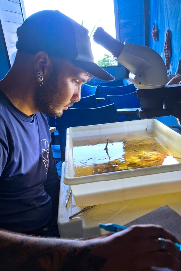 Homem de boné observa amostras marinhas em uma bandeja sob um microscópio.