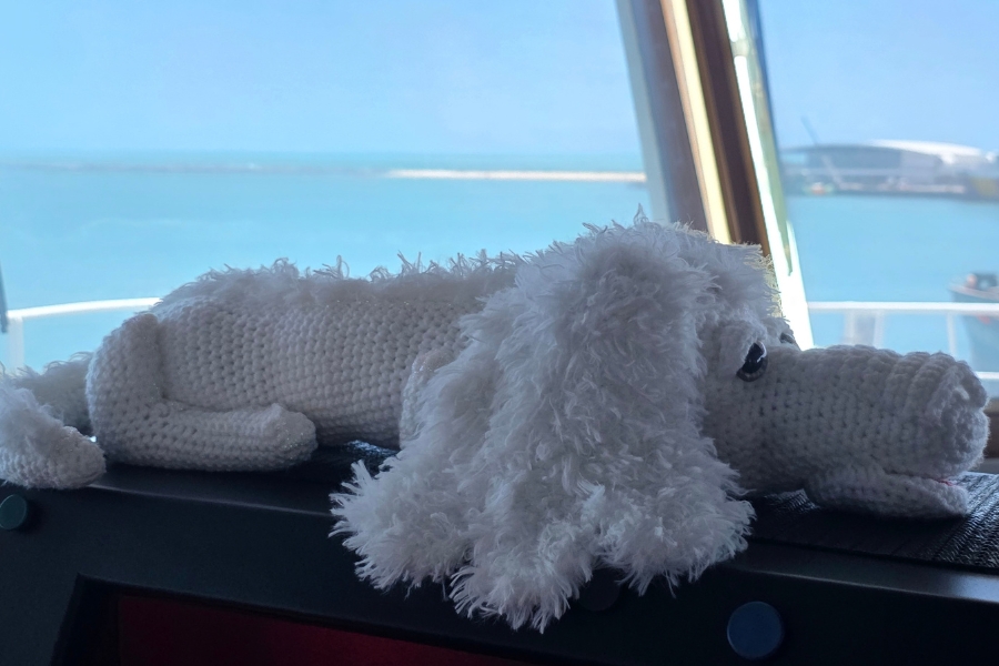 Um dragão de crochê branco (mascote em referência ao personagem Falkor) pousado próximo à janela do painel da embarcação, com a vista do mar ao fundo.