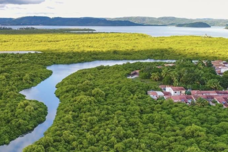 Vista aérea de extensa área de manguezal verde cortada por um rio, com casas ao lado e mar ao fundo.