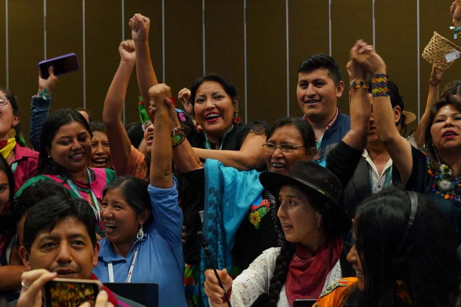 Participantes e representantes indígenas celebram com braços levantados e sorrisos durante plenária da COP16 da Biodiversidade.   