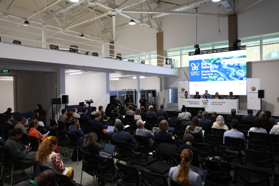 Plateia atenta assiste a painel sobre água e biodiversidade durante conferência da ONU em auditório com grande tela ao fundo.