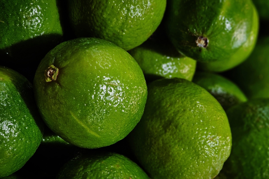 Foto em plano detalhe destacando a textura da casca de vários limões-taiti bem verdes.